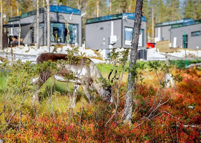 Secret Igloo Revontuli 10d By Interhome Tatil Evi Levi